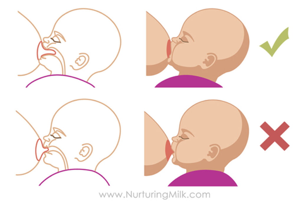 How To Get A Deep Latch - Nurturing Milk