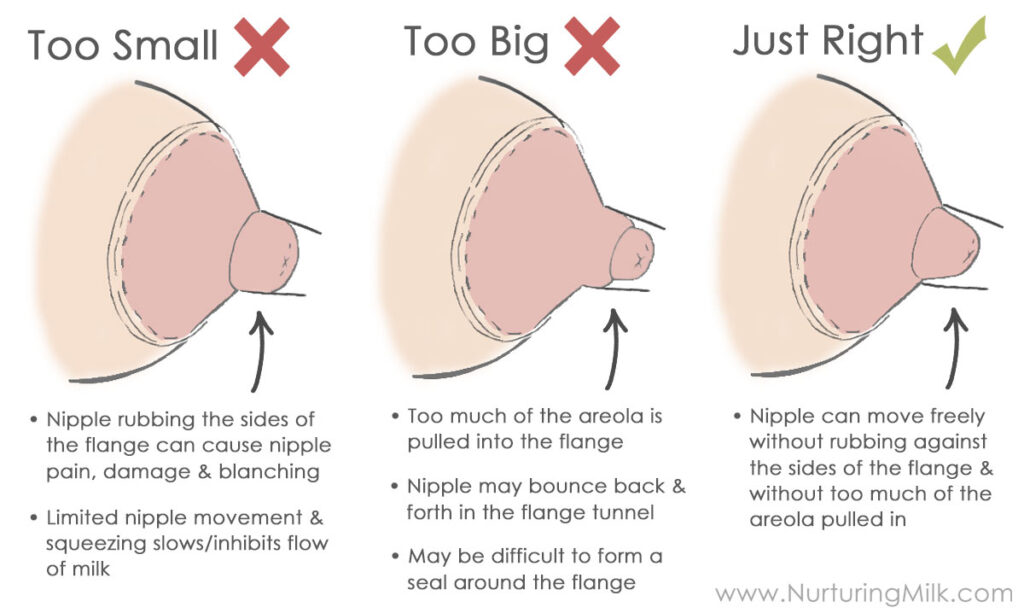 Diagram demonstrating appropriate nipple shield size